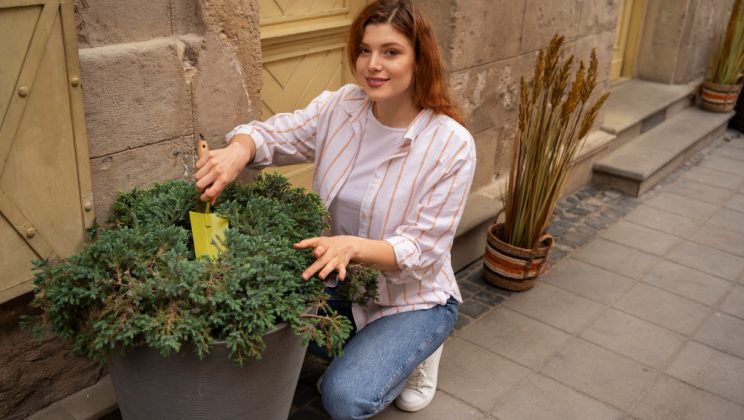 Cum să îți creezi o grădină de legume pe balcon
