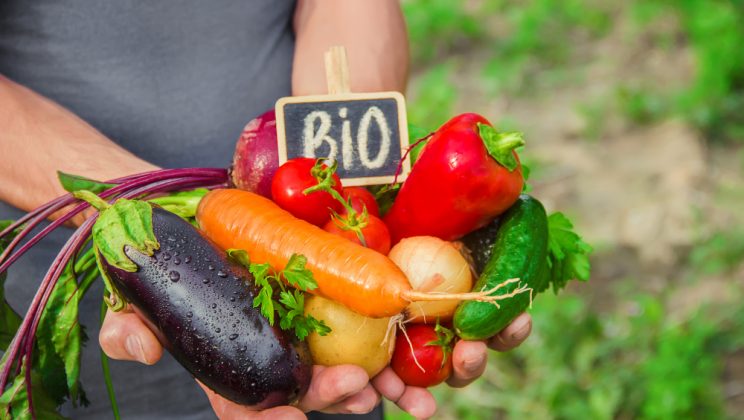 Cum să crești legume fără pesticide